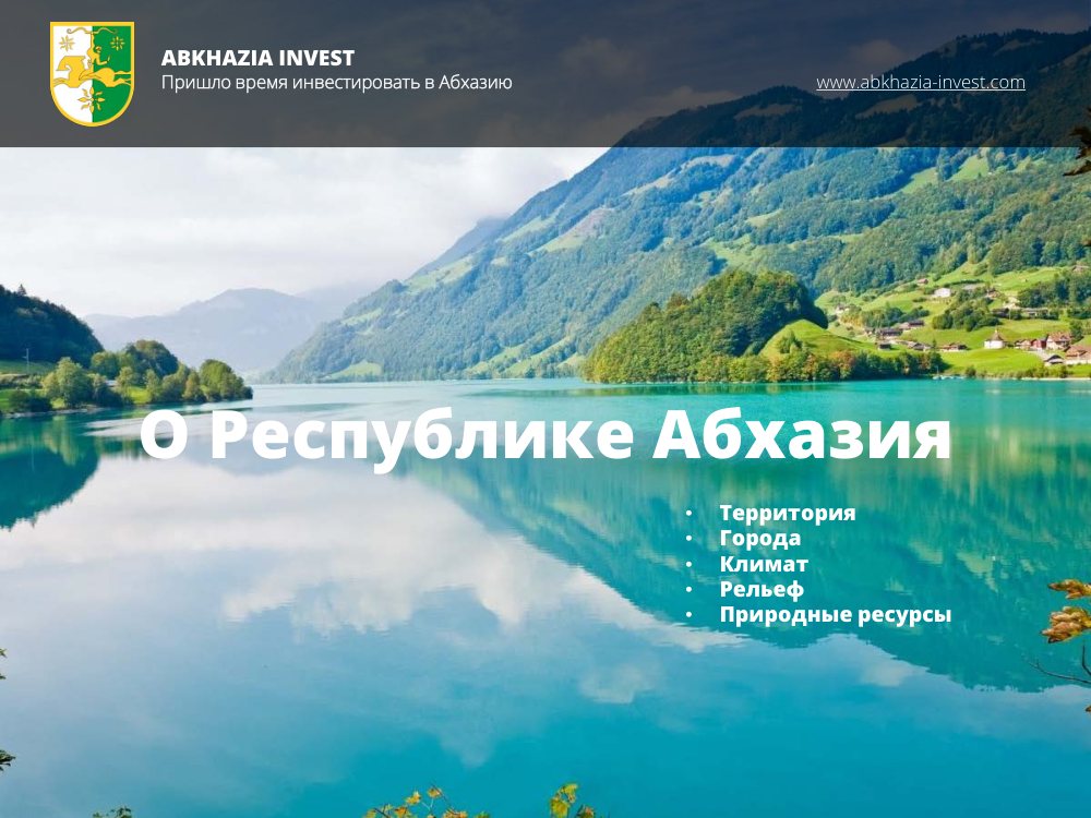 Презентация инвестиционного проекта — слайд 2